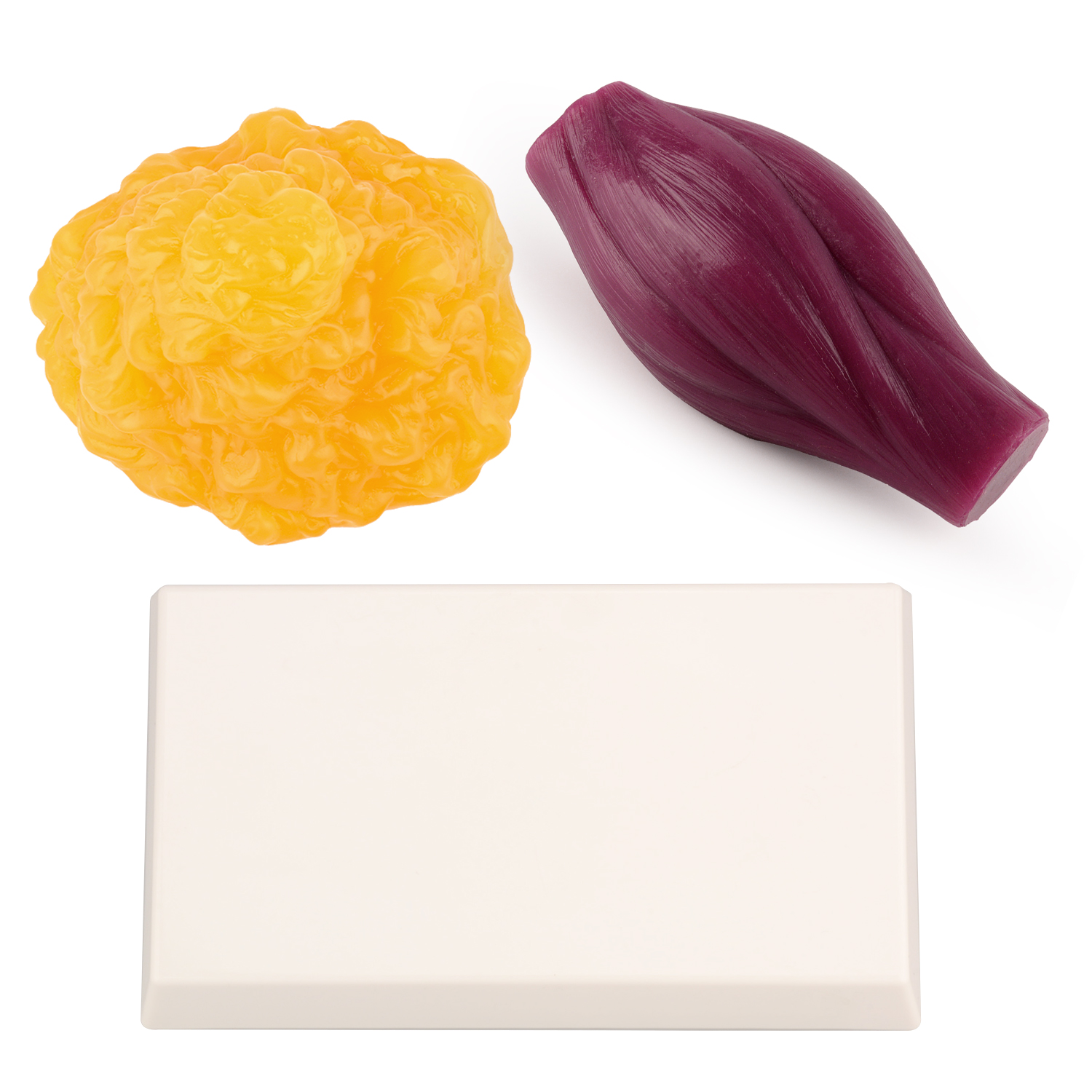 1lb Fat Replica & Muscle to Ke - Nutrition And Fitness บทวิจารณ์และราคา