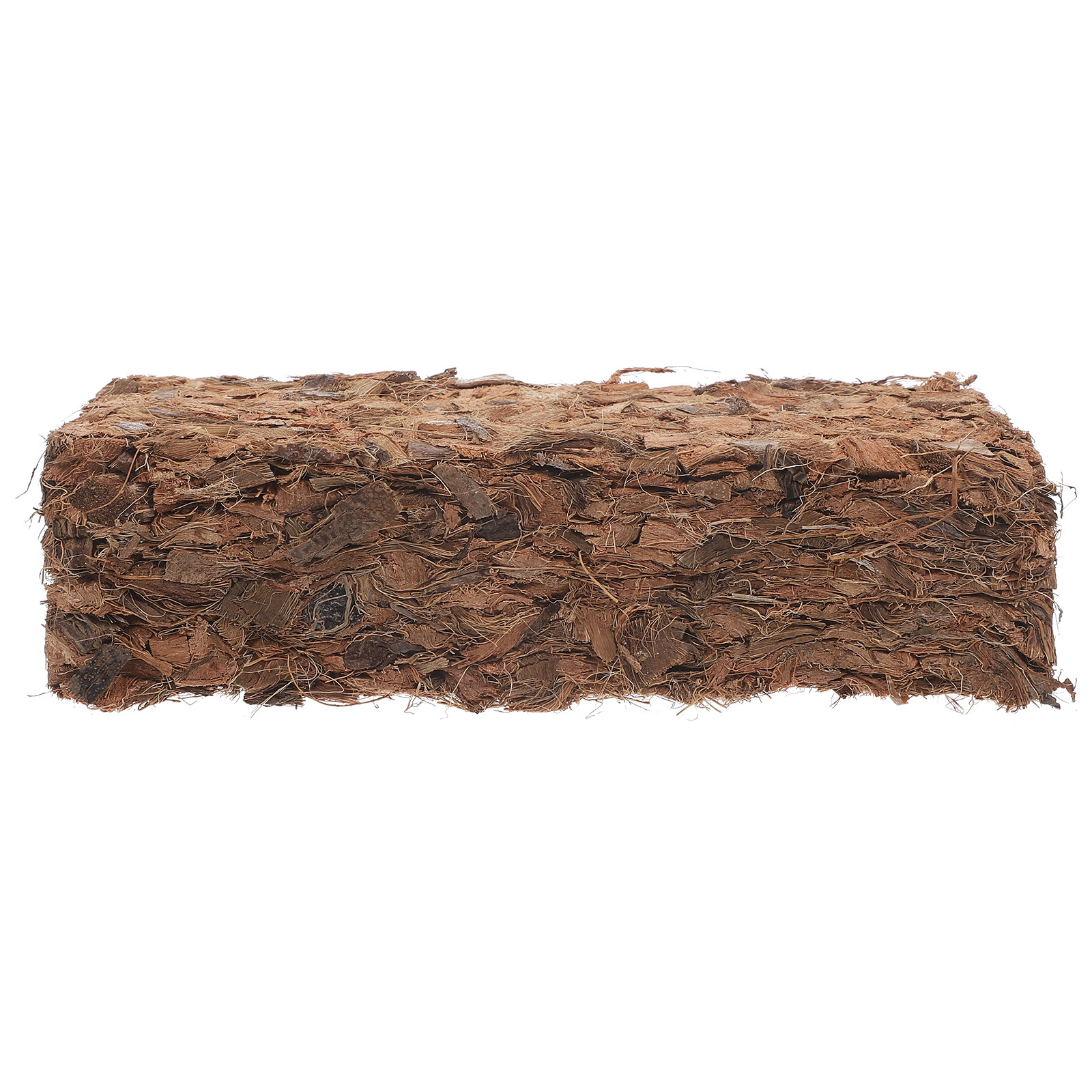 Plant Nursery Block Coconut Co - Nutrition & Fitness Hub Photos บทวิจารณ์และราคา