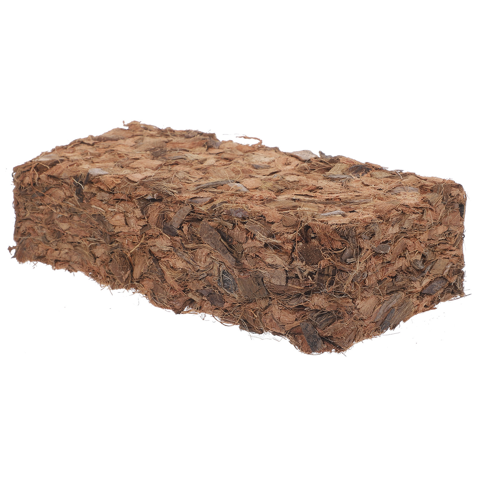 Plant Nursery Block Coconut Co - Nutrition & Fitness Hub Photos บทวิจารณ์และราคา