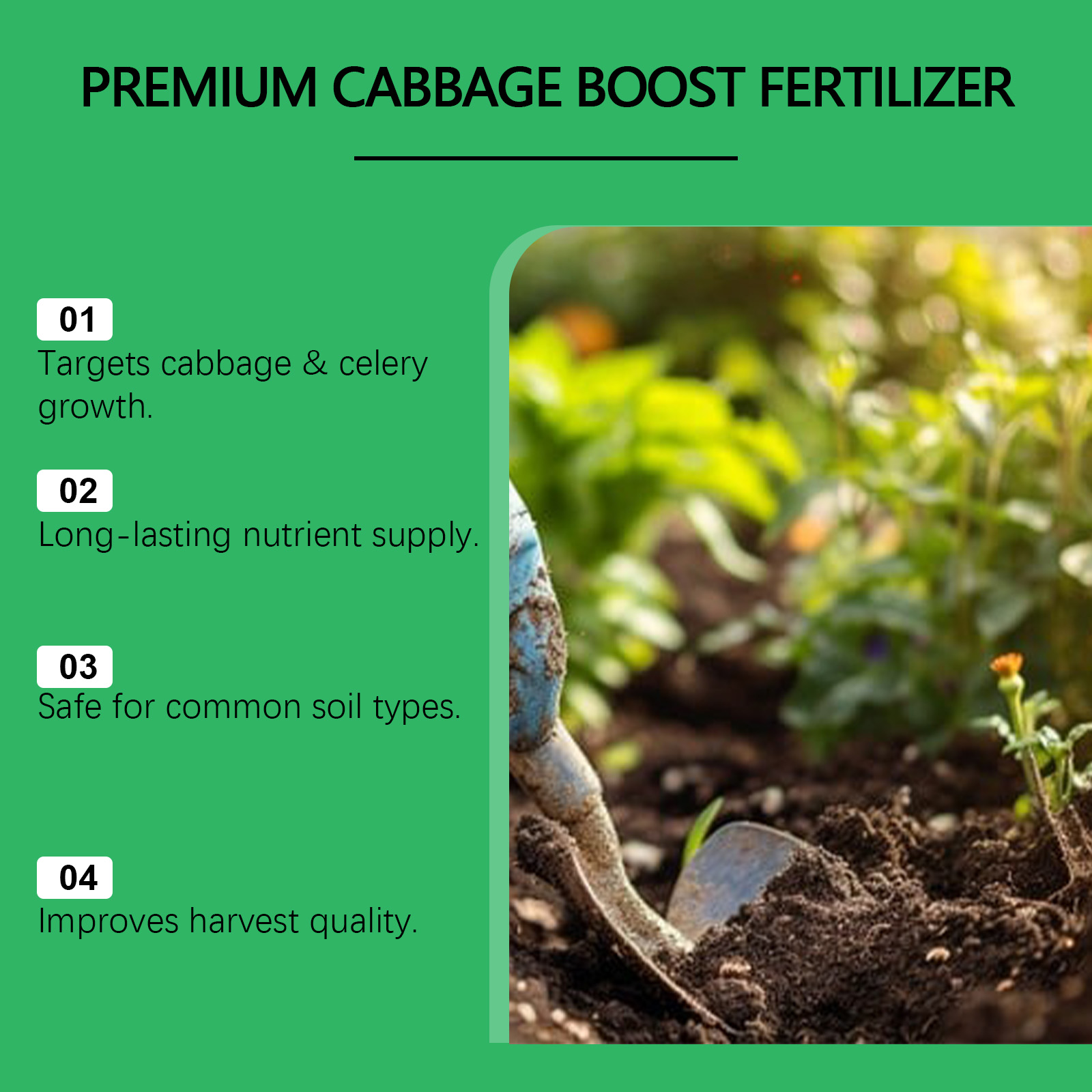 Indoor Outdoor Vegetable Growt - Nutrition & Fitness Hub Photos บทวิจารณ์และราคา
