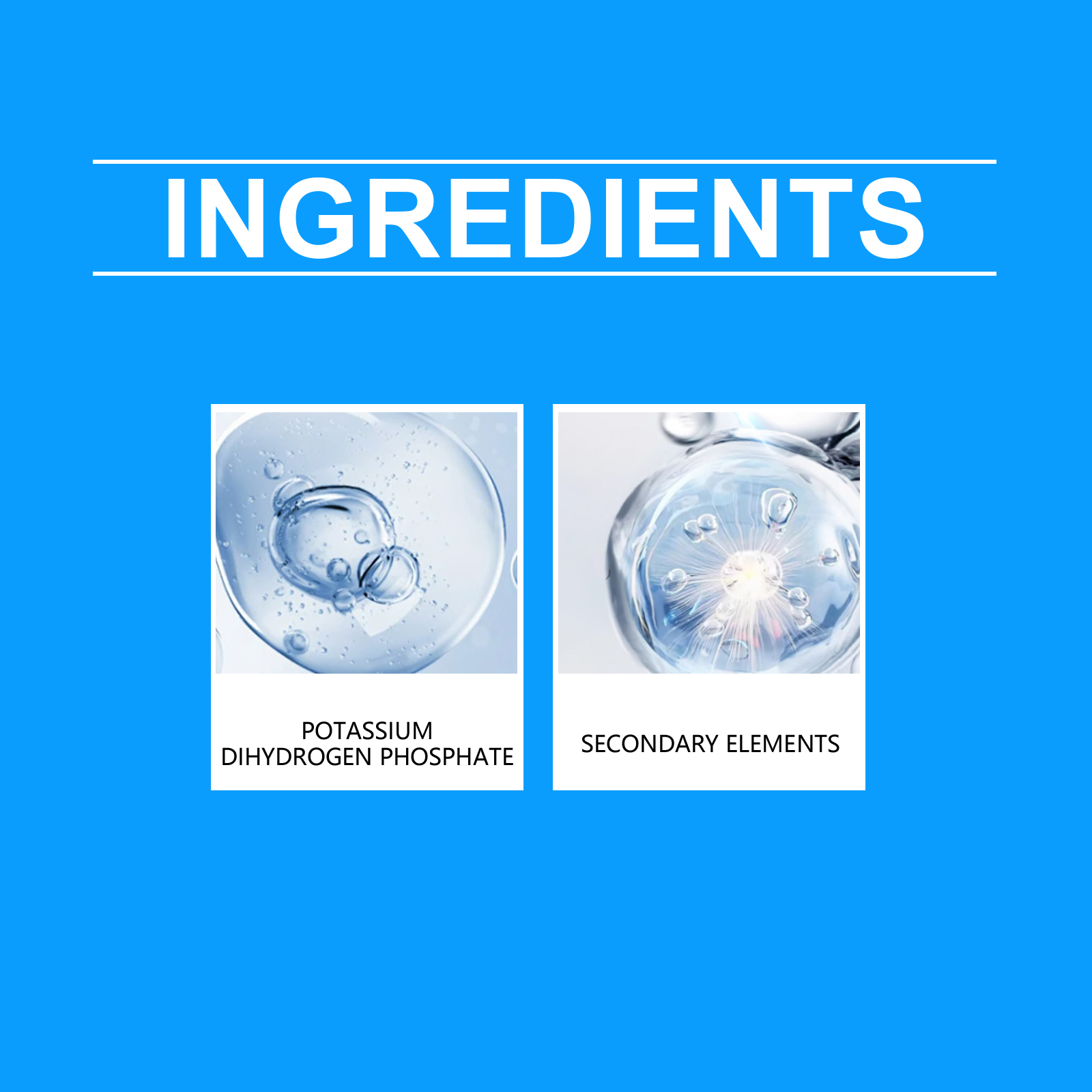 Flower Nutrient Solution Liqui - Nutrition & Fitness Hub Photos บทวิจารณ์และราคา